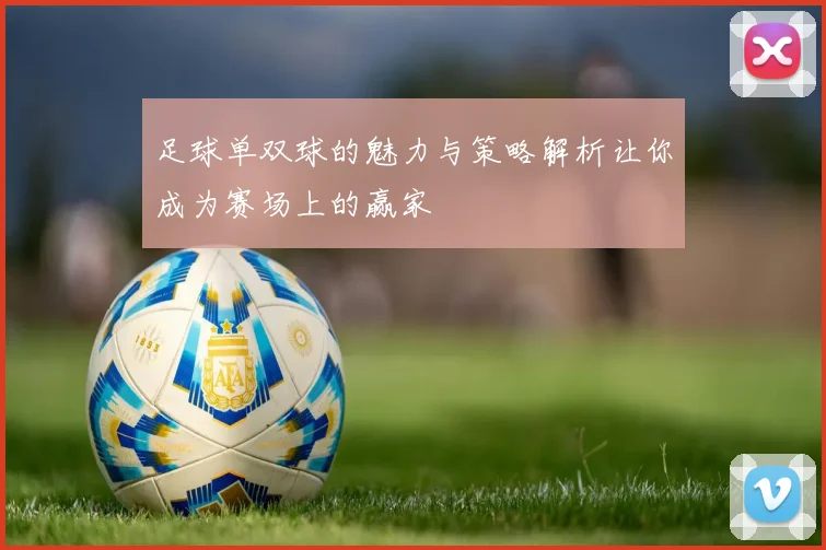 足球单双球的魅力与策略解析让你成为赛场上的赢家